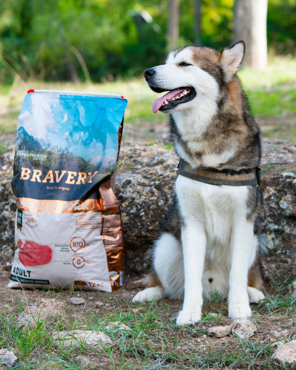 Descubre los Beneficios del Alimento para Perros Bravery