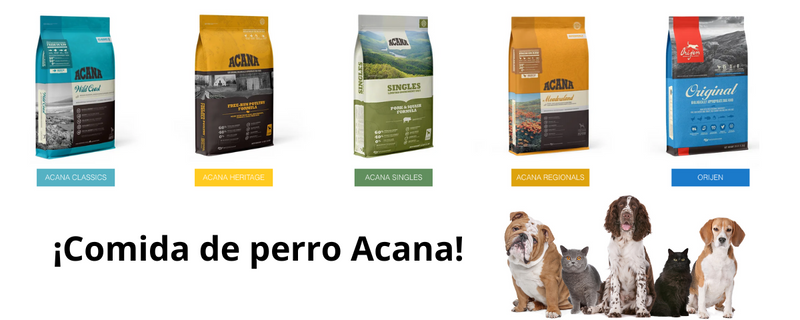 Descubre las deliciosas colecciones de Comida de Perro Acana en Chile