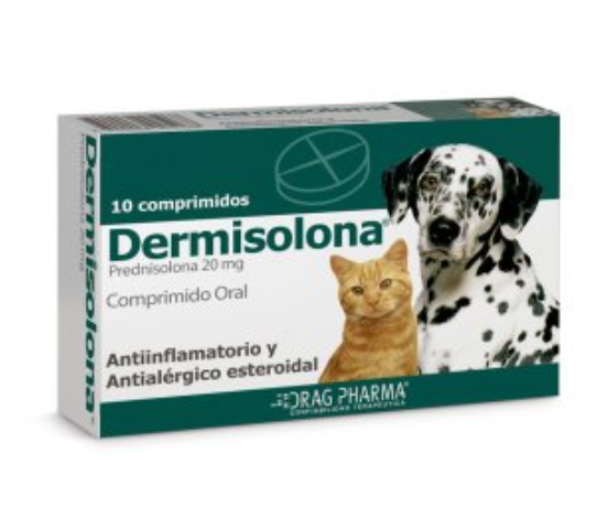 dermisolona-perros