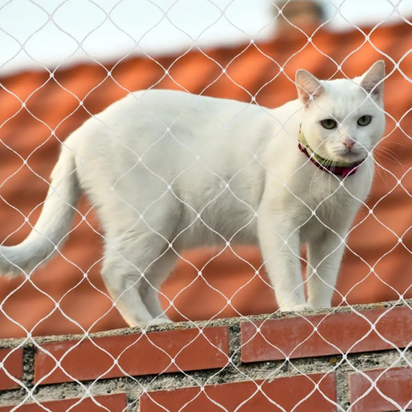Malla para Ventanas de Gatos: Manten a Tu Mascota Segura
