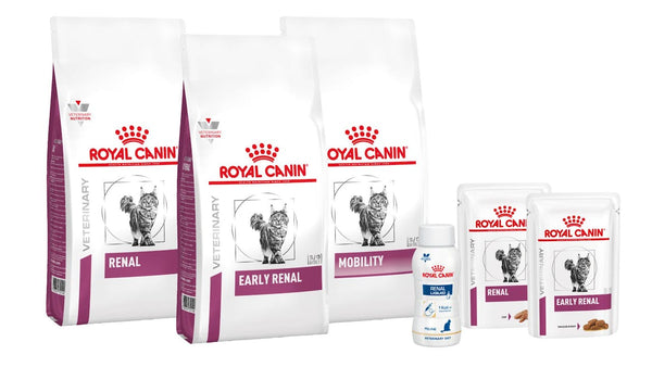 Royal Canin Renal para Gatos: Alimento Esencial para la Salud Renal Felina