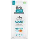 Brit Care Adult Salmon