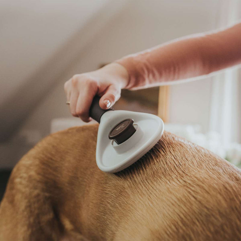 Cepillo Perros Spa Auto-Limpiador  - Pet Shop Chicureo: Tienda para mascotas online