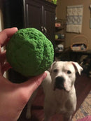 Wacky Wunderball 'Pelota Entrenamiento'