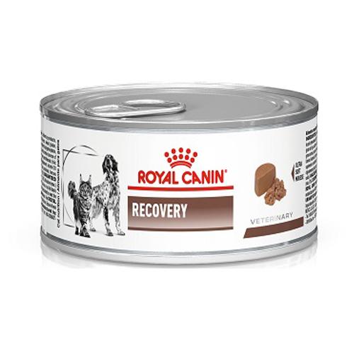 Royal Canin Comida húmeda Recovery 145 g