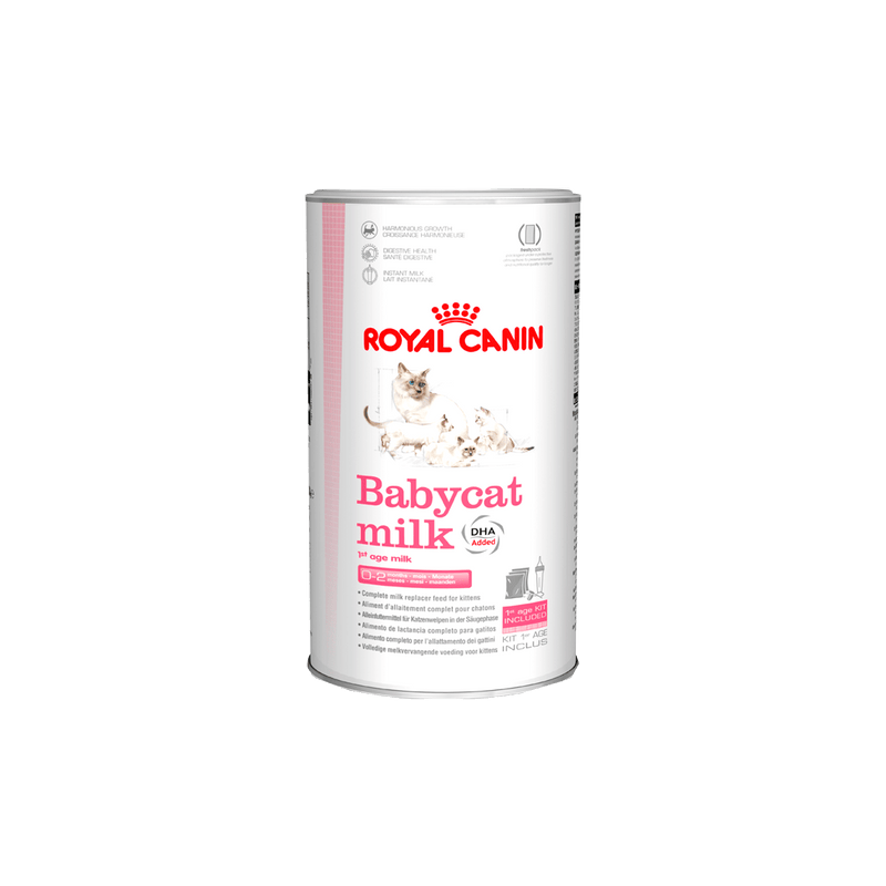 alimento para gatos leche Royal Canin