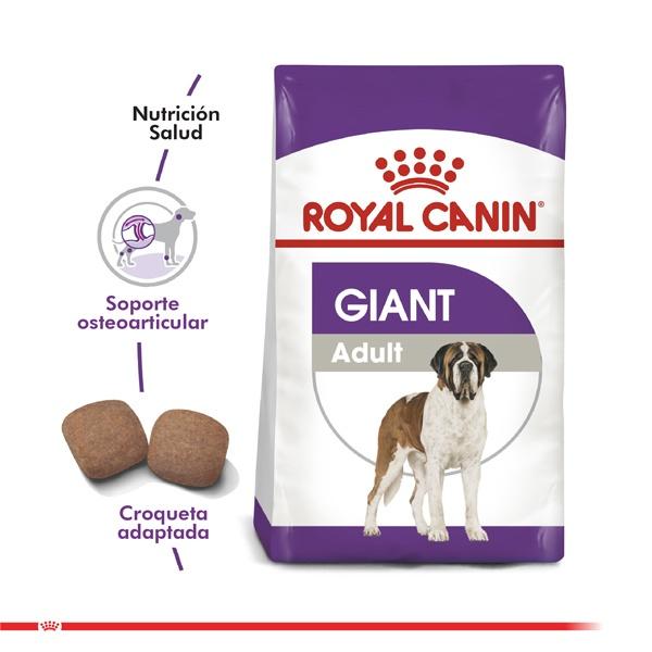 Royal Canin Giant Adulto 15 Kg