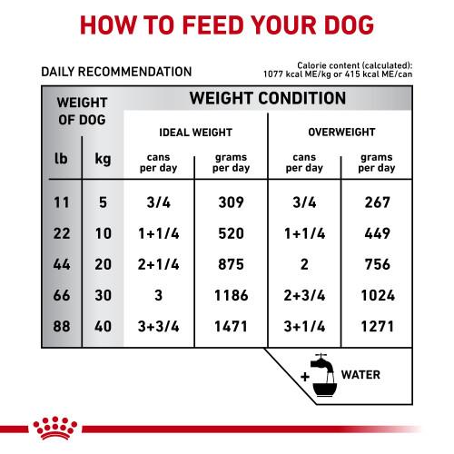 Royal Canin Alimento Húmedo Gastrointestinal 385g